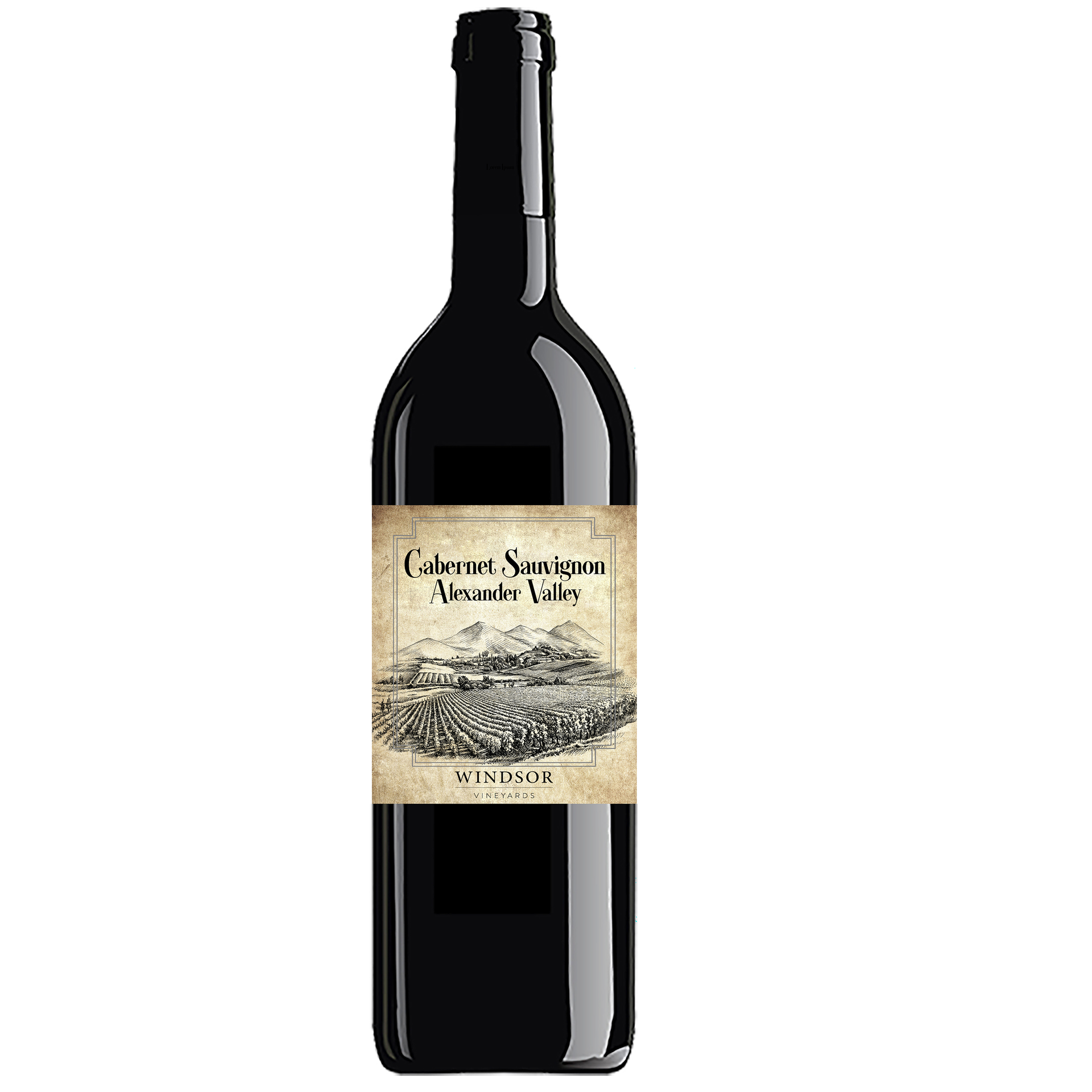 その他 OZWRT TheCaudexMan Baronii var Windsorii Windsor Vineyards 2021 Cabernet Sauvignon, Alexander Valley